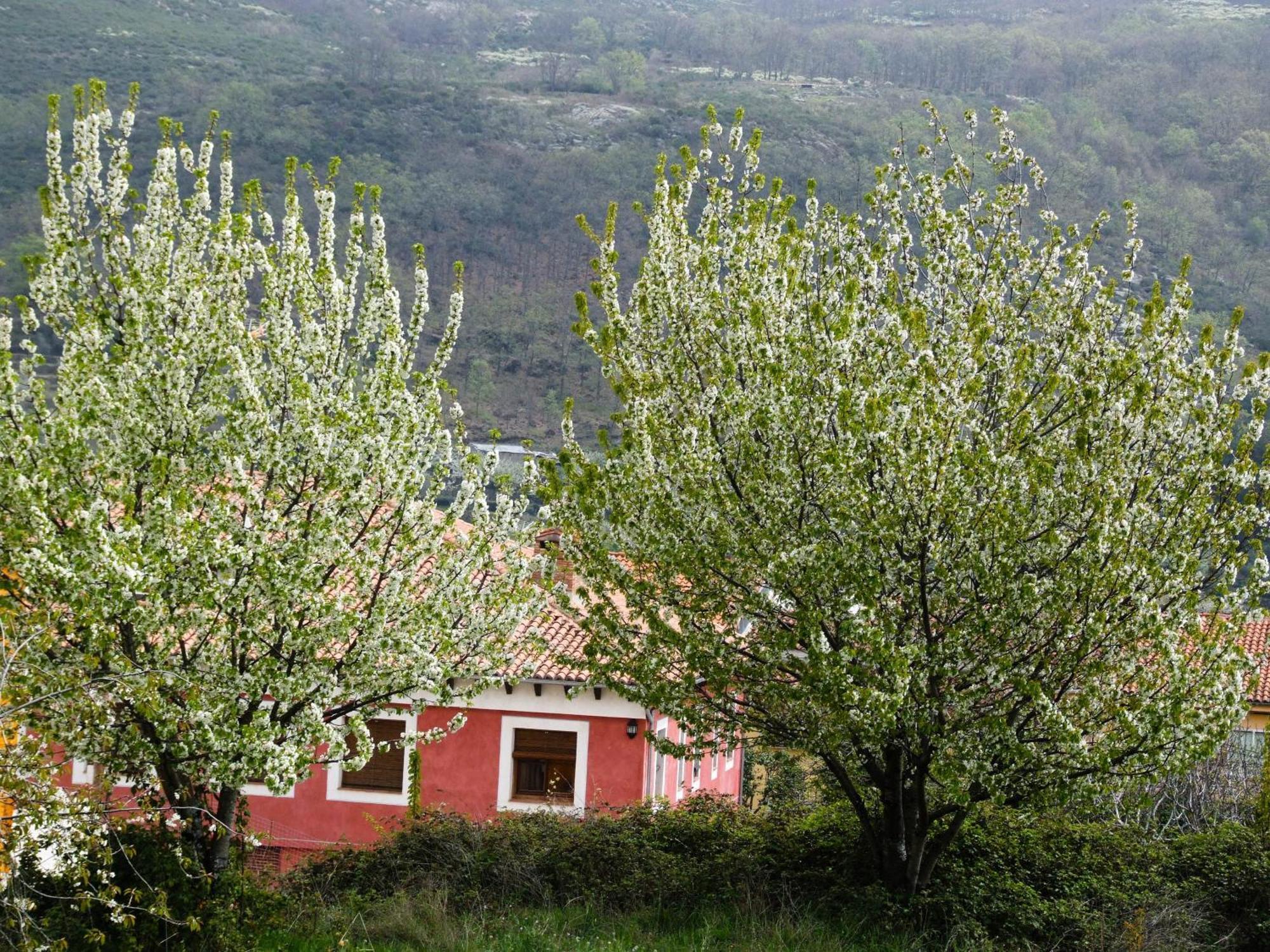 Hotel Rural Carlos I Garganta la Olla Exterior foto